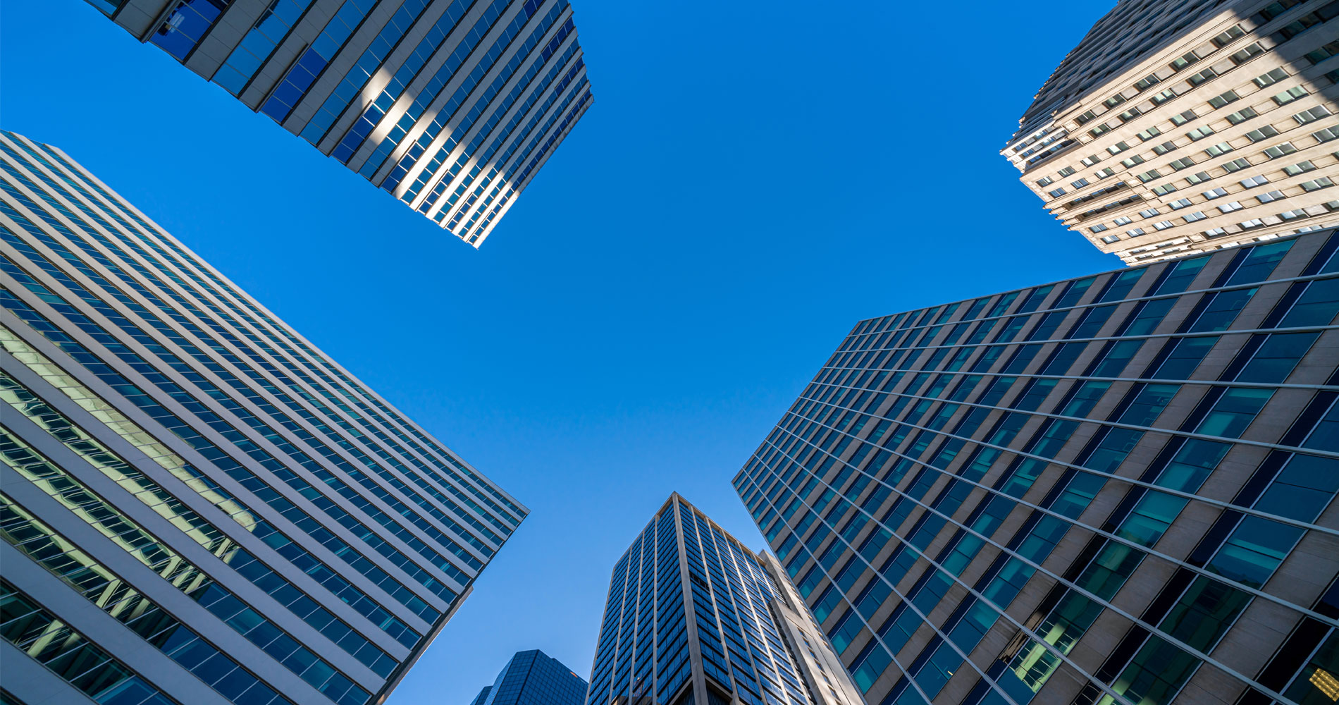 The Capital Nexus Group